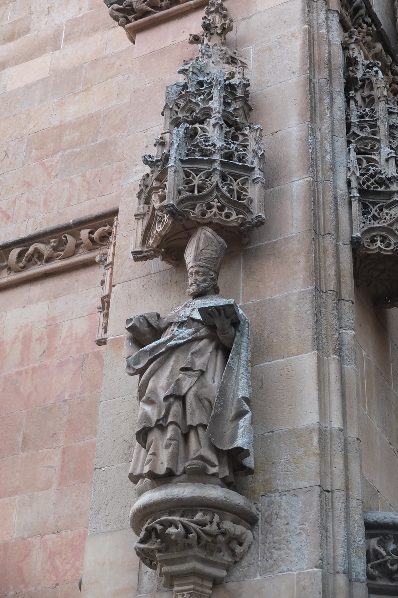 รูปถ่าย สเปน(Spain) ซาลามังกา(Salamanca) 2013-01 102