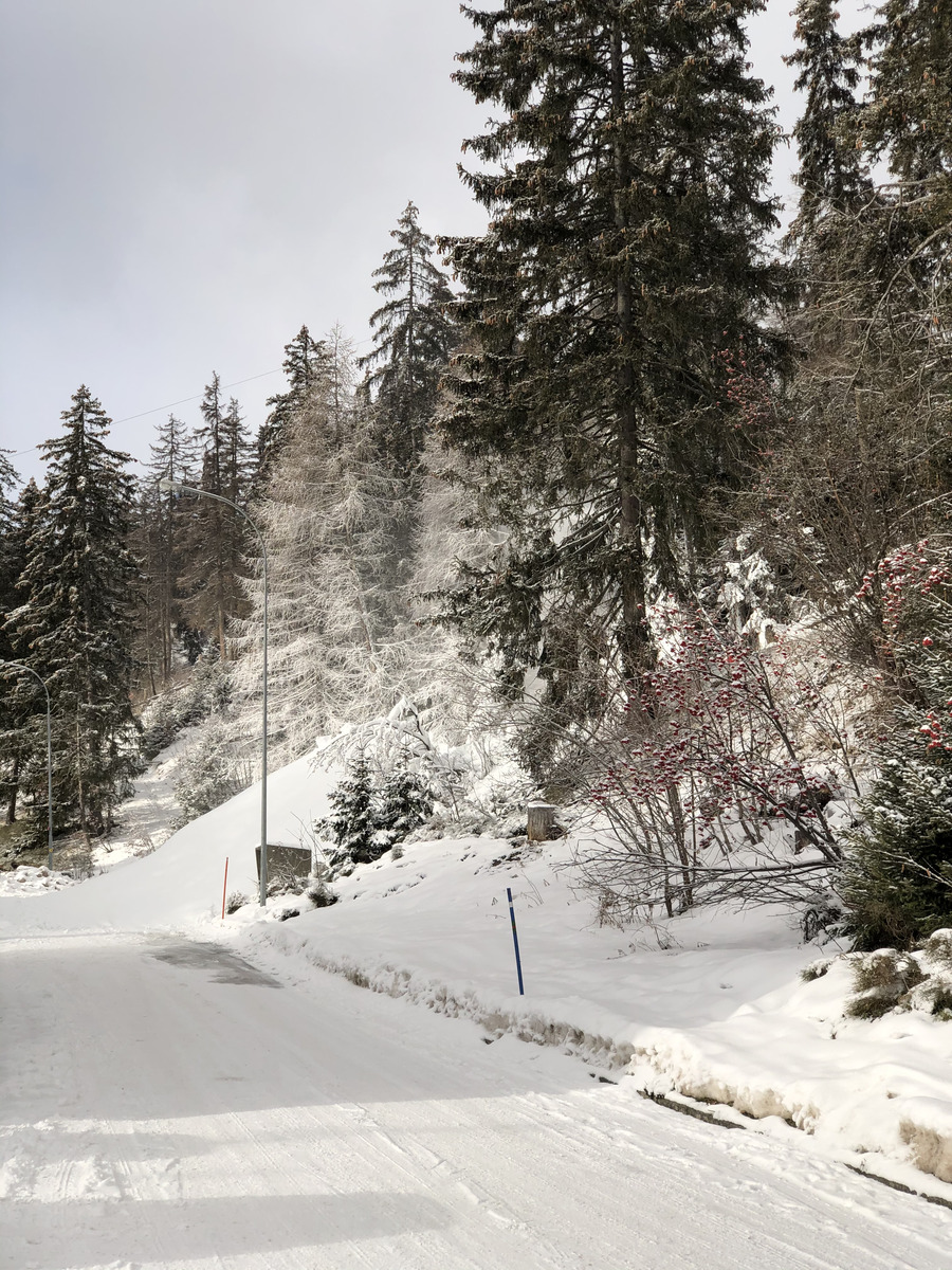 รูปถ่าย สวิสเซอร์แลนด์(Switzerland) ครองส์-มงตานา(Crans Montana) 2020-12 539