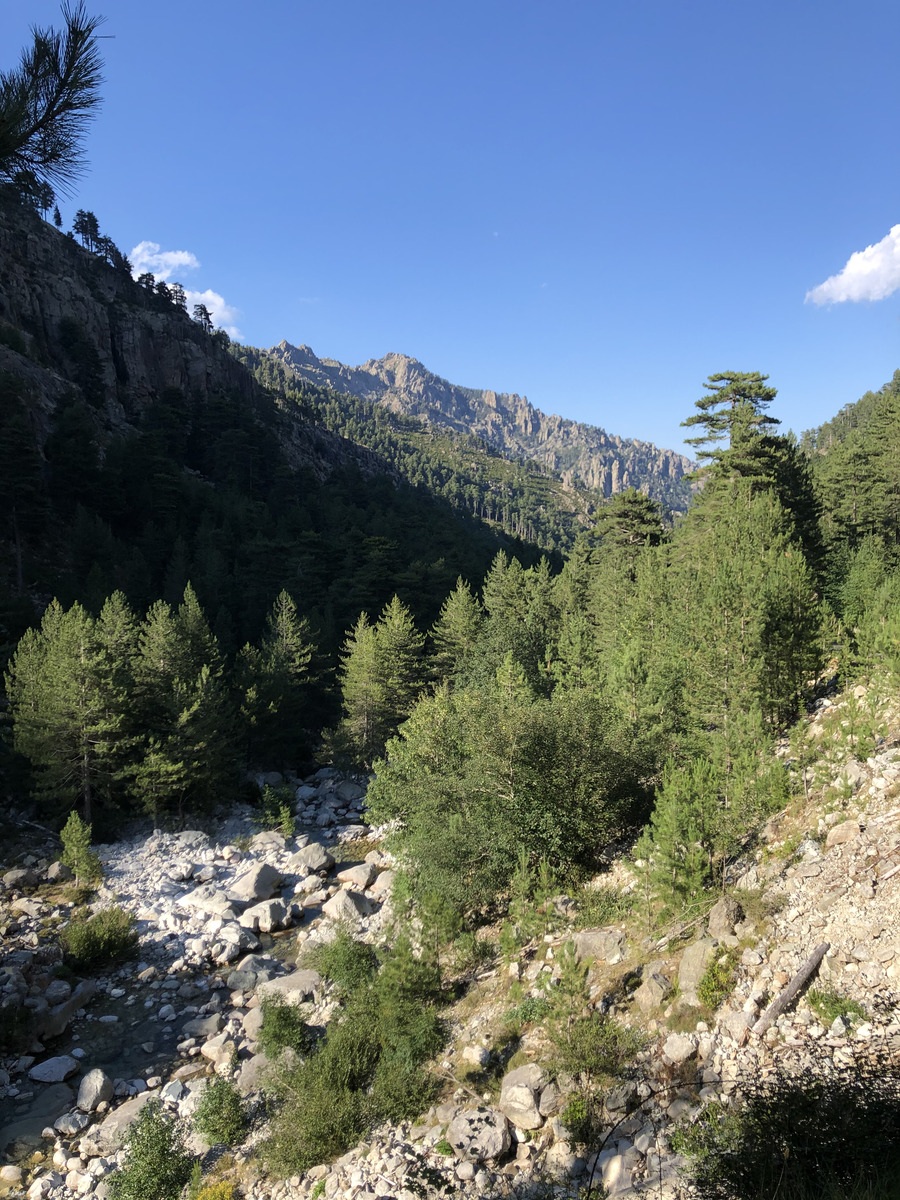 รูปถ่าย ฝรั่งเศส(France) คอร์สิคา(Corsica) หุบเขาลาเรสโตนีกา(La Restonica) 2020-07 112