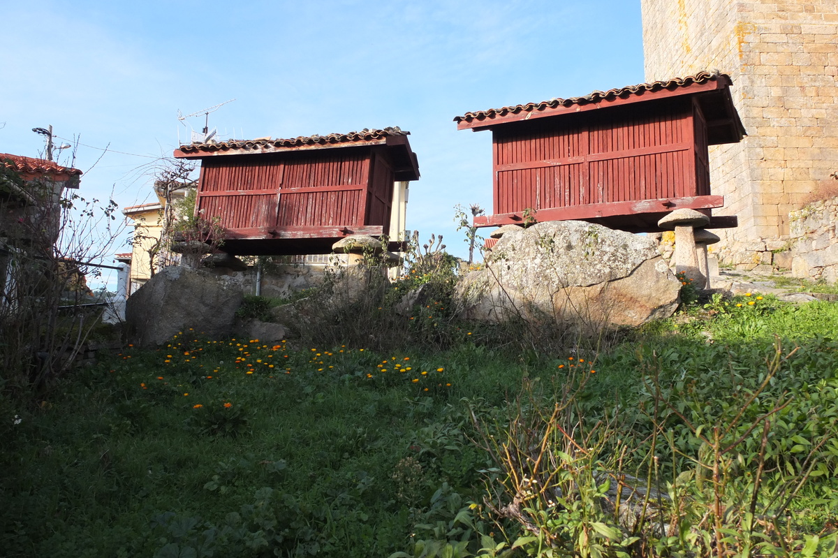 รูปถ่าย สเปน(Spain) เซลาโนวา(Celanova) 2013-01 4
