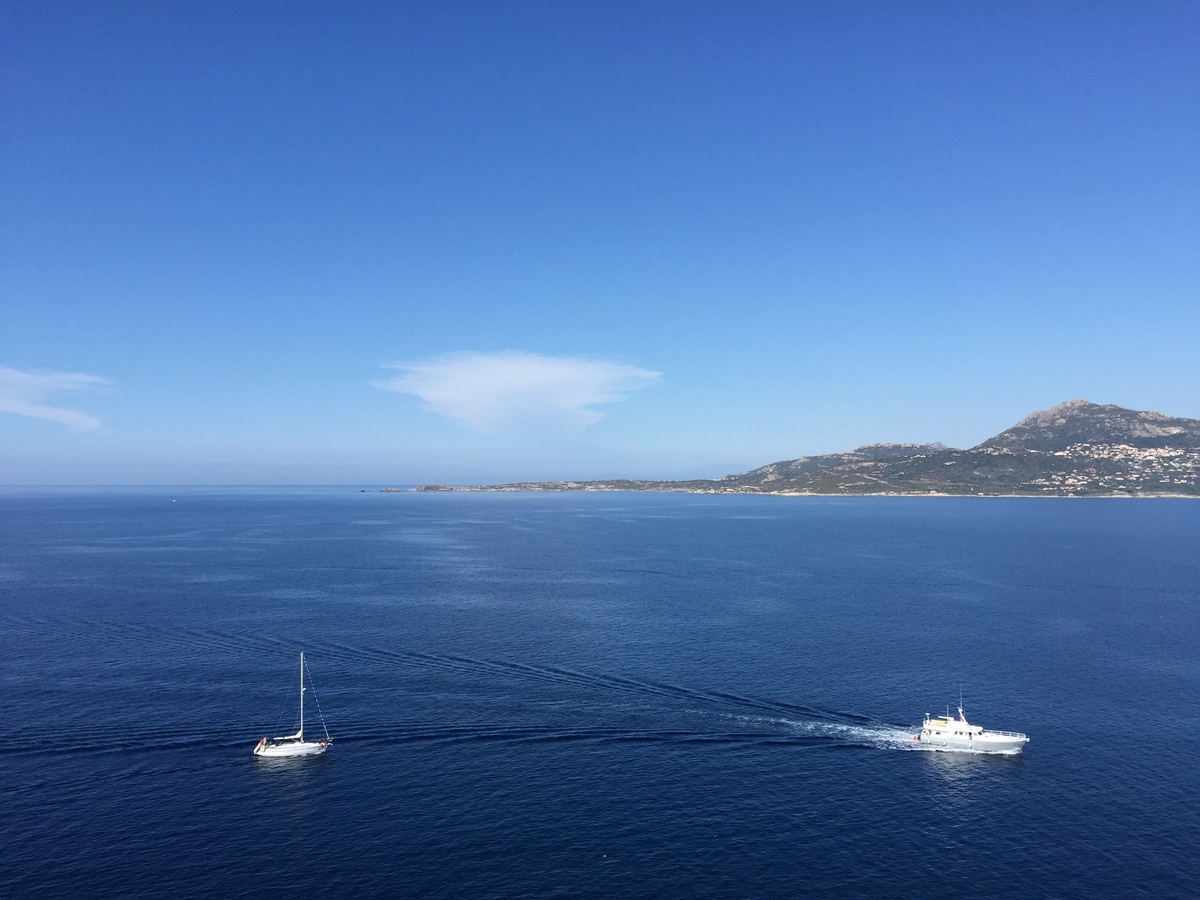 รูปถ่าย ฝรั่งเศส(France) คอร์สิคา(Corsica) คาลวี(Calvi) 2015-05 36
