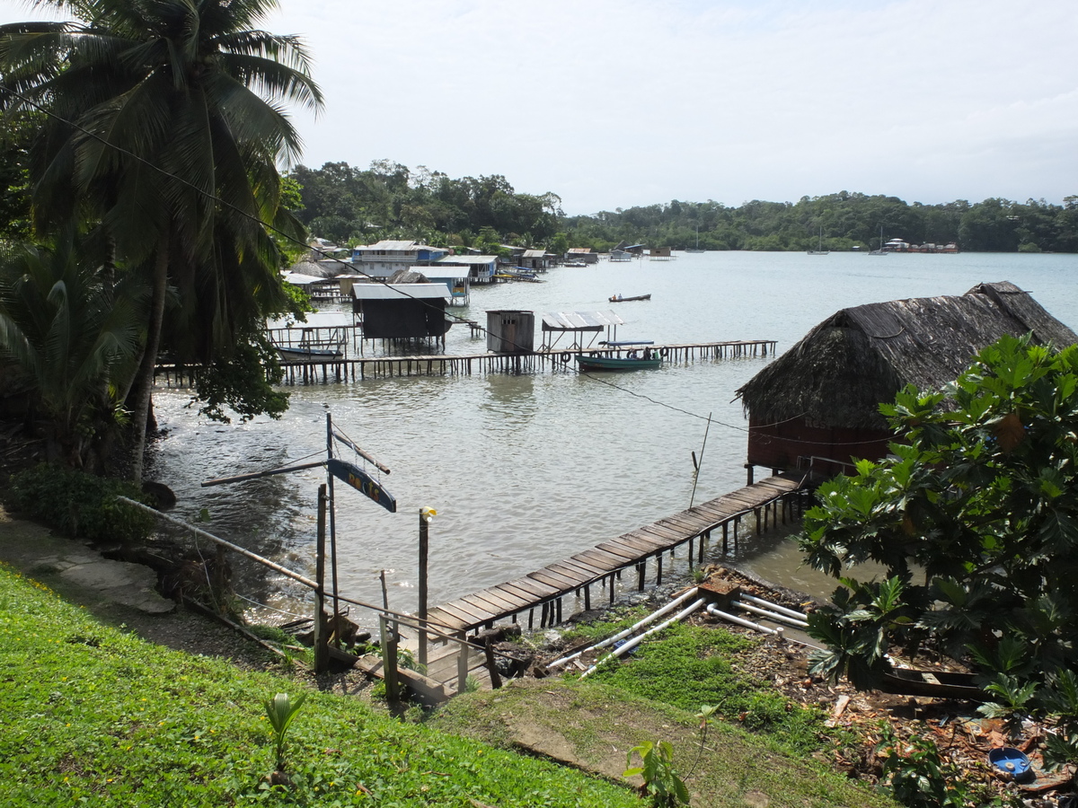 รูปถ่าย ปานามา(Panama) เกาะบาสติเมนโตส(Bastimentos) 2015-03 33