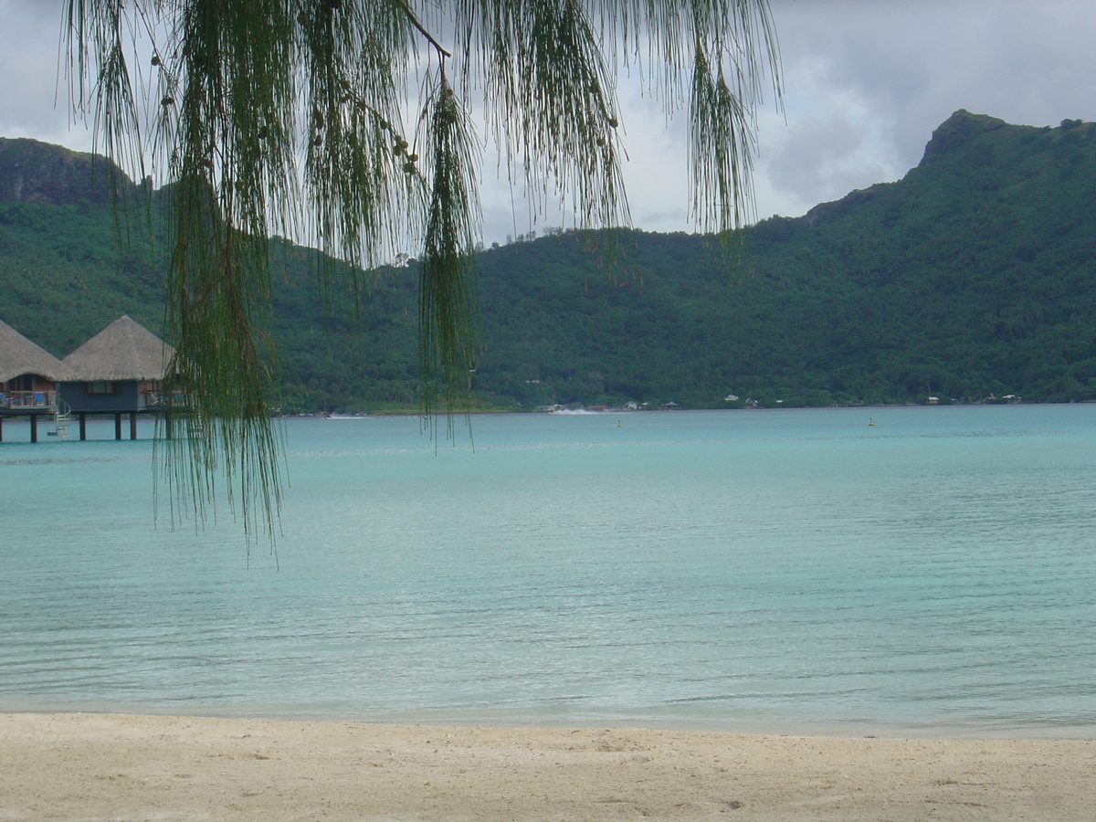 รูปถ่าย เฟรนช์โพลี่นีเซีย(Polynesia) โรงแรมเลอเมอริเดียน โบราโบรา(Meridien Bora Bora Hotel) 2006-04 143