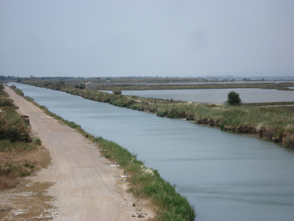 รูปถ่าย ฝรั่งเศส(France) กามาร์เกอ(Camargue) 2006-06 2