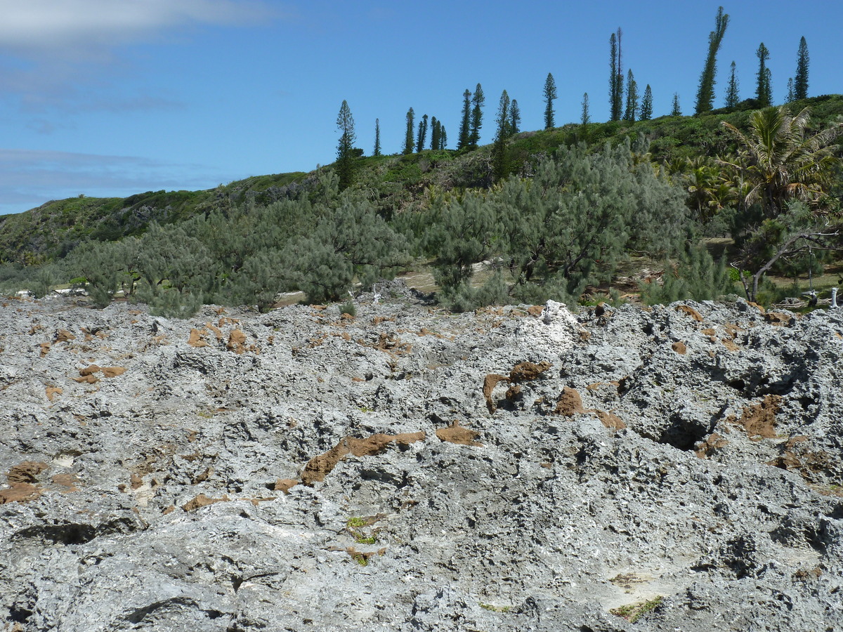 รูปถ่าย นิวแคลิโดเนีย(New Caledonia) เกาะลีฟู(Lifou) หน้าผาโซเดร(Xodre Cliffs) 2010-05 27