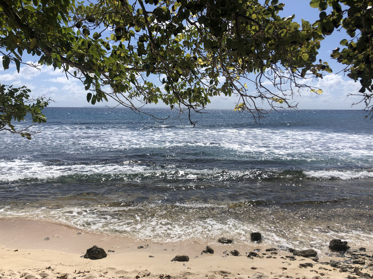 รูปถ่าย กวาเดอลูป(Guadeloupe) แซ็งฟร็องซัว(Saint Francois) 2021-02 54