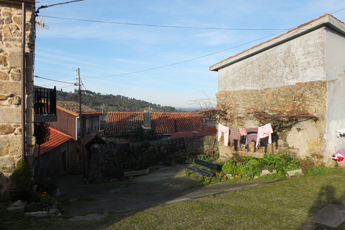 รูปถ่าย สเปน(Spain) เซลาโนวา(Celanova) 2013-01 31