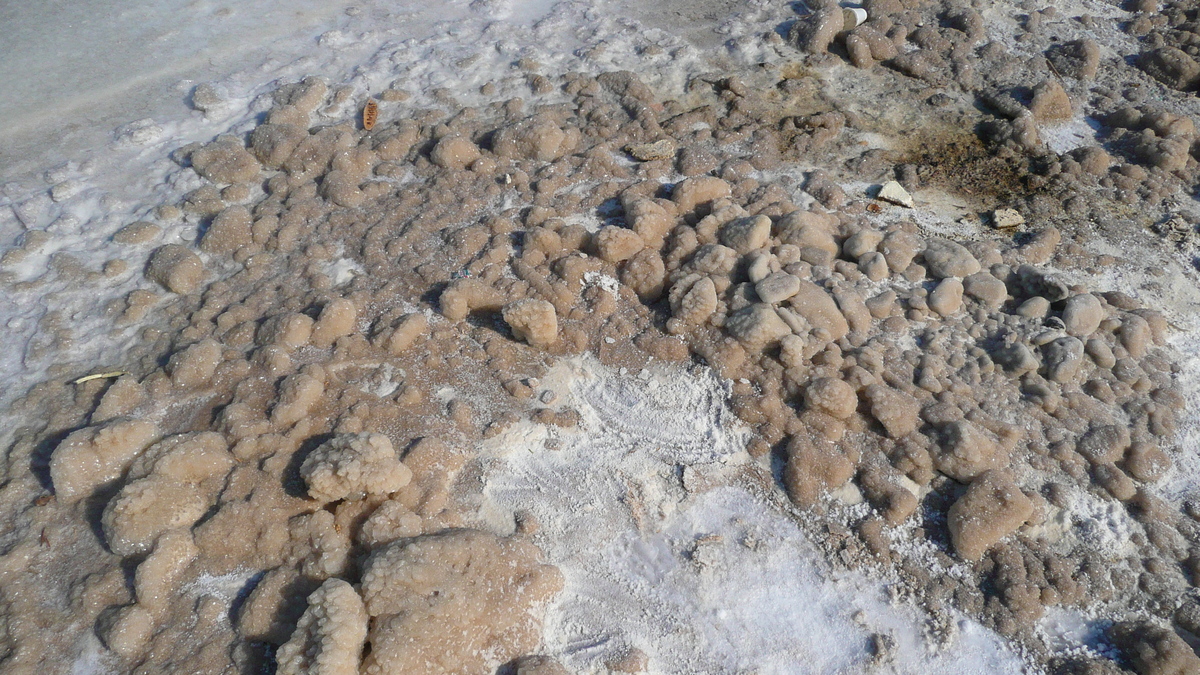 รูปถ่าย อิสราเอล(Israel) อึนโบเกก(Boqeq) 2007-06 85