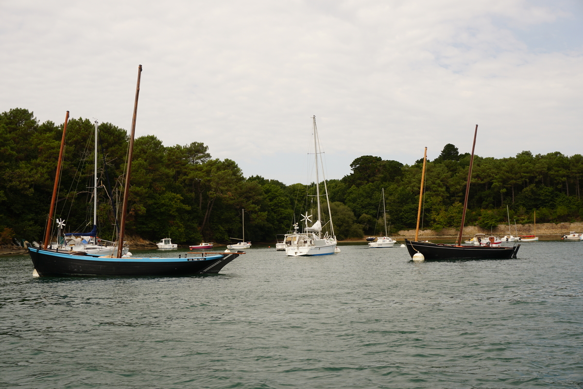 รูปถ่าย ฝรั่งเศส(France) อ่าวมอร์บีอ็อง(Golfe du Morbihan) 2016-08 77