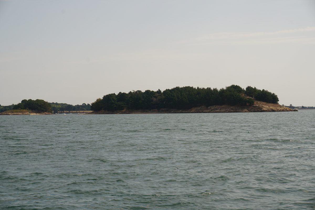 รูปถ่าย ฝรั่งเศส(France) อ่าวมอร์บีอ็อง(Golfe du Morbihan) 2016-08 99