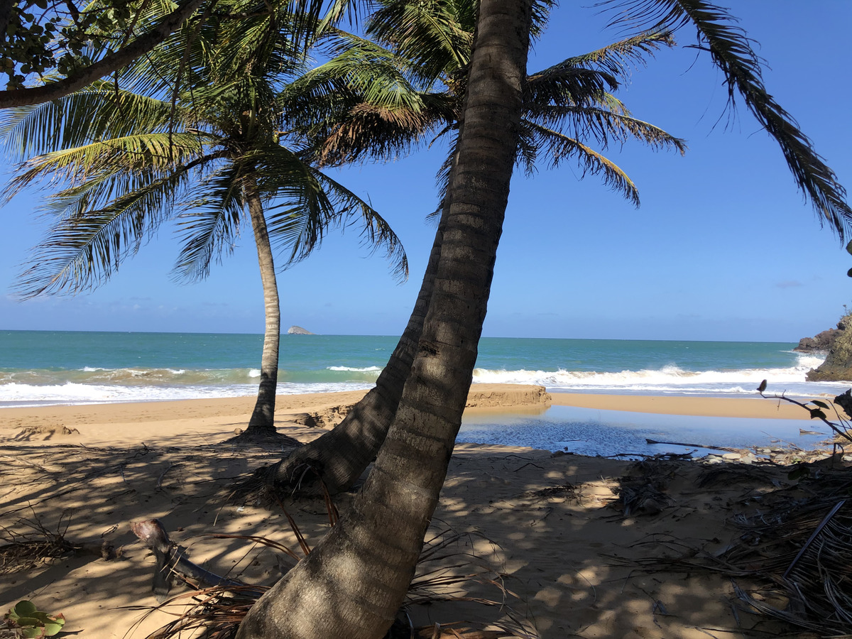 รูปถ่าย กวาเดอลูป(Guadeloupe) ป้อมรอยัล(Fort Royal) 2021-02 20