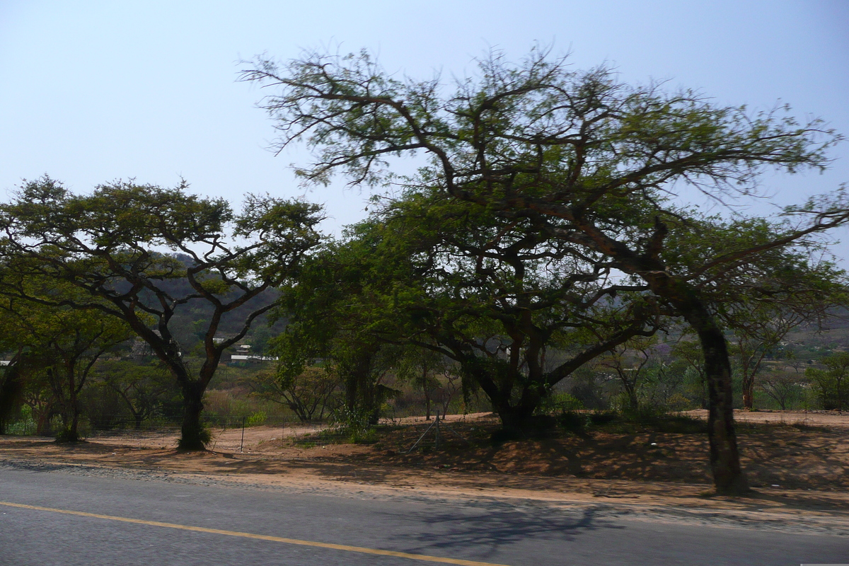 รูปถ่าย แอฟริกาใต้(South Africa) เนลสปรุต(Nelspruit) 2008-09 44