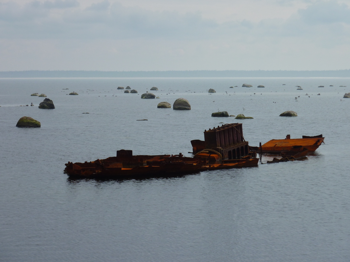 รูปถ่าย เอสโตเนีย(Estonia) ถนนจากทาลลินน์ไปฮาปซาลู(Tallinn to Haapsalu road) 2009-04 14