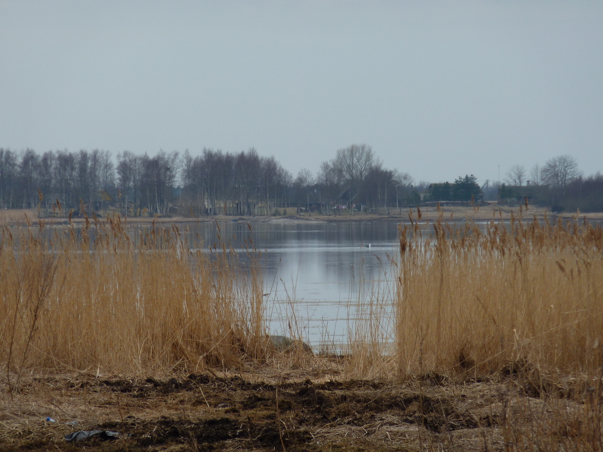 รูปถ่าย เอสโตเนีย(Estonia) ถนนจากทาลลินน์ไปฮาปซาลู(Tallinn to Haapsalu road) 2009-04 11