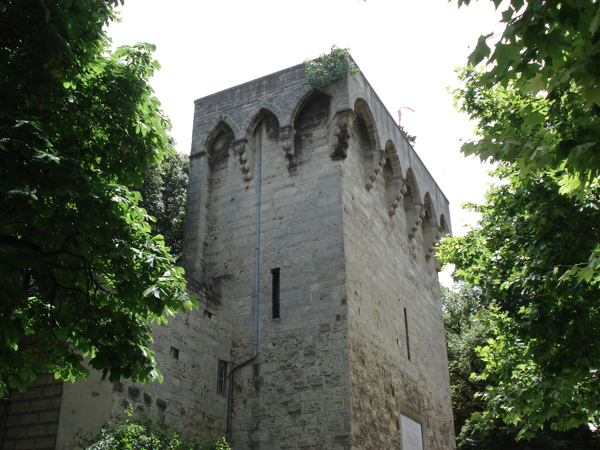 รูปถ่าย ฝรั่งเศส(France) มงเปลลีเยร์(Montpellier) 2006-06 96