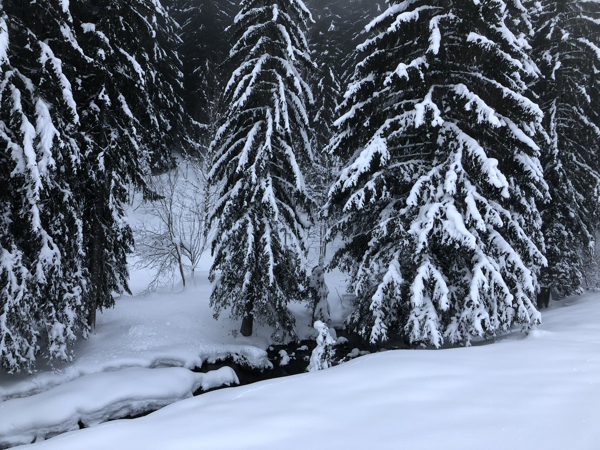 รูปถ่าย ฝรั่งเศส(France) ลากลูซา(La Clusaz) 2017-12 220