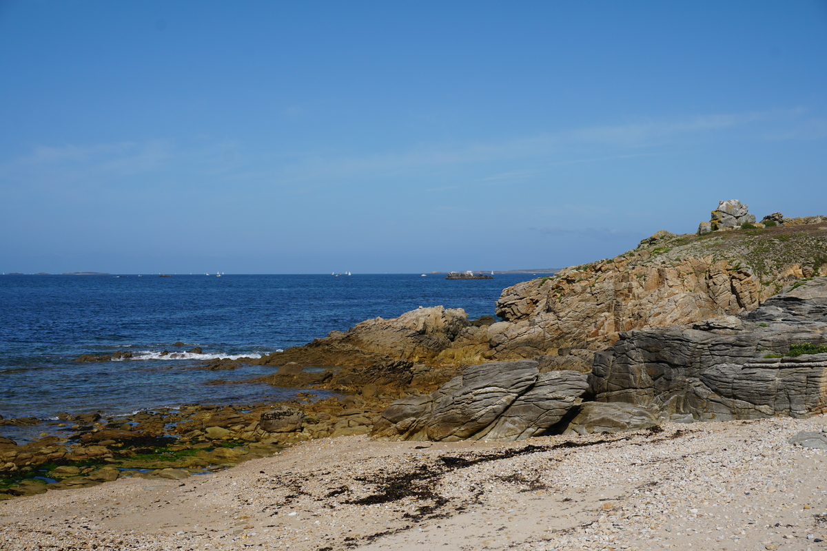 รูปถ่าย ฝรั่งเศส(France) เกาะเอดิก(Hoedic) 2016-08 102