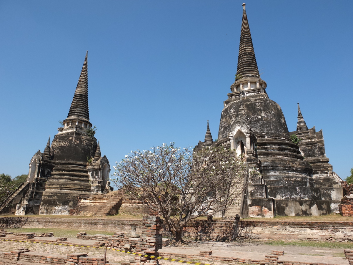 รูปถ่าย ไทย(Thailand) อยุธยา(Ayutthaya) 2011-12 34
