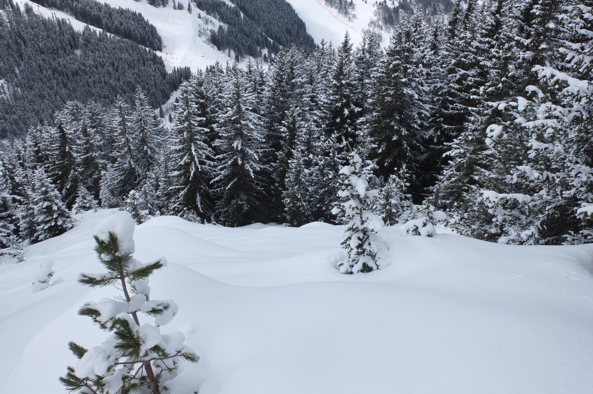 รูปถ่าย ฝรั่งเศส(France) เลทรัววาเล(Les 3 Vallees) 2013-03 281