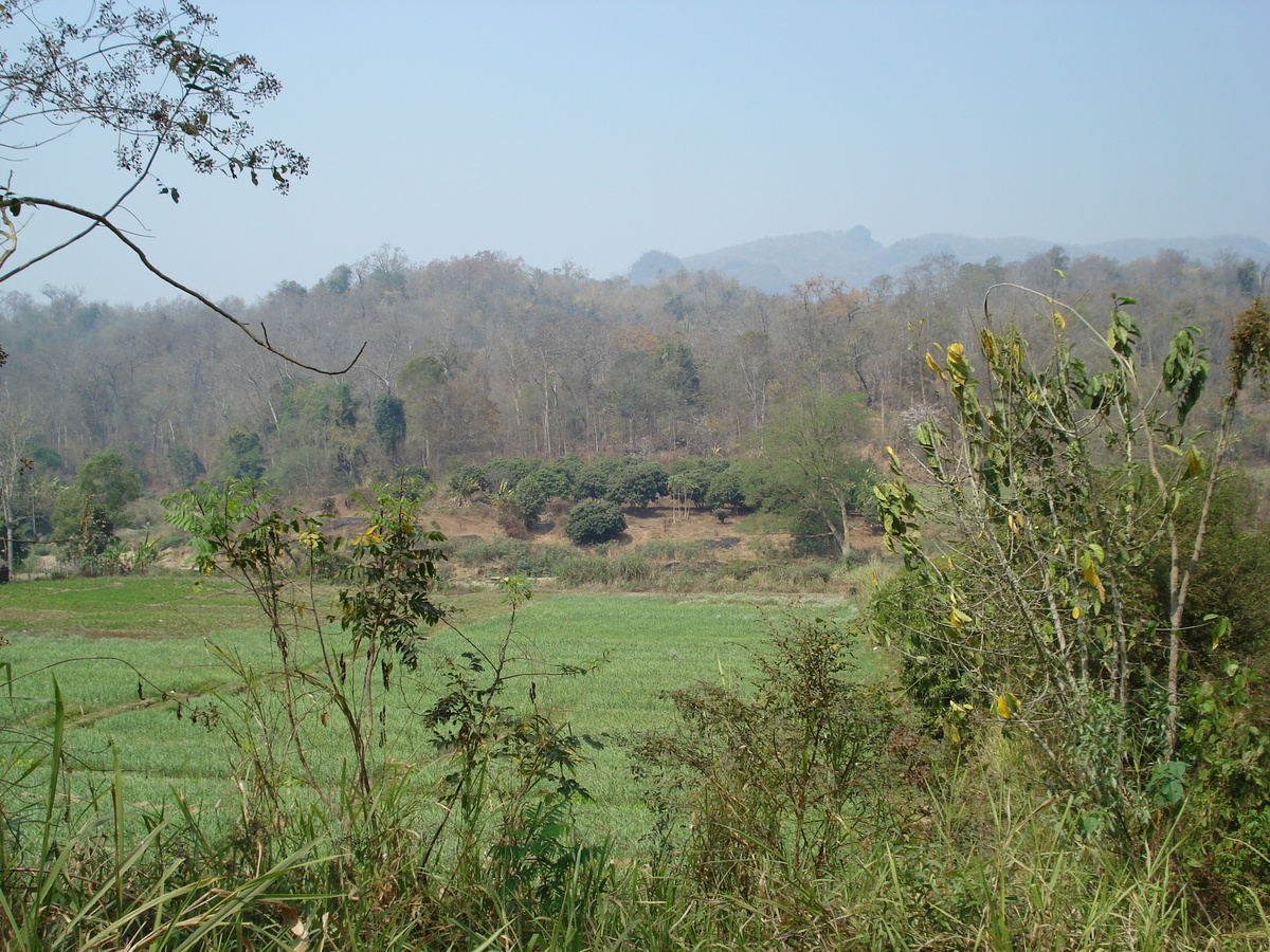 รูปถ่าย ไทย(Thailand) ปางมะผ้า(Pang Mapha) 2007-02 51