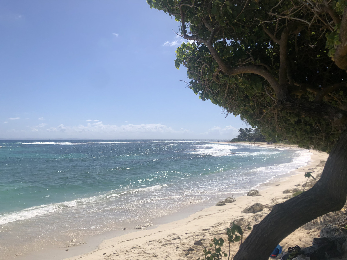 รูปถ่าย กวาเดอลูป(Guadeloupe) แซ็งฟร็องซัว(Saint Francois) 2021-02 71