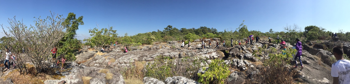 รูปถ่าย ไทย(Thailand) อุทยานแห่งชาติภูหินร่องกล้า(Phu Hin Rong Kla National Park) 2014-12 299