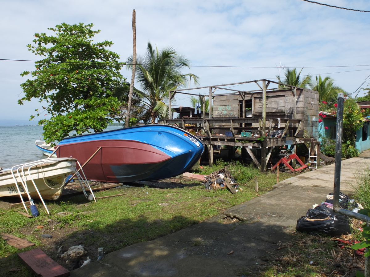 รูปถ่าย ปานามา(Panama) เกาะบาสติเมนโตส(Bastimentos) 2015-03 35