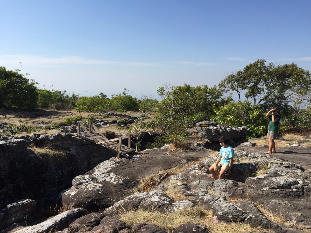 รูปถ่าย ไทย(Thailand) อุทยานแห่งชาติภูหินร่องกล้า(Phu Hin Rong Kla National Park) 2014-12 370
