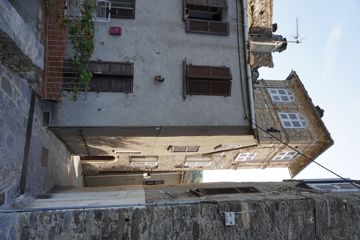 รูปถ่าย ฝรั่งเศส(France) คอร์สิคา(Corsica) เวสโกวาโต(Vescovato) 2017-09 32