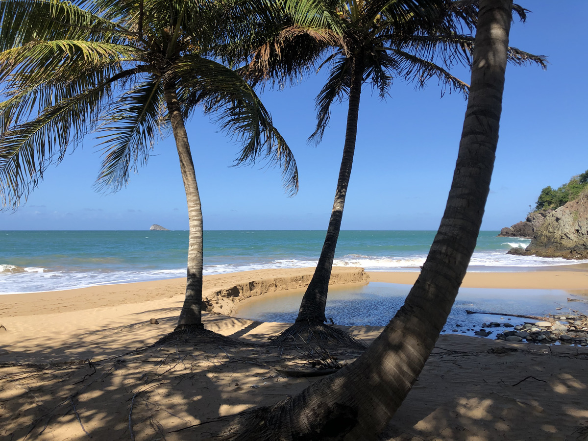 รูปถ่าย กวาเดอลูป(Guadeloupe) ป้อมรอยัล(Fort Royal) 2021-02 25