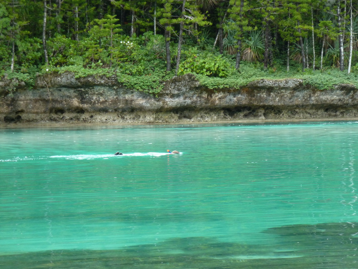 รูปถ่าย นิวแคลิโดเนีย(New Caledonia) เกาะต้นสน(Ile des pins) อ่าวโอโร(Oro Bay) 2010-05 79