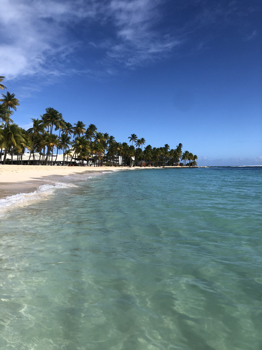 รูปถ่าย กวาเดอลูป(Guadeloupe) หาดลาการาแวล(La Caravelle Beach) 2021-02 144