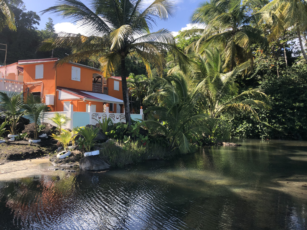 รูปถ่าย กวาเดอลูป(Guadeloupe) บานาเนีย(Bananier) 2021-02 10