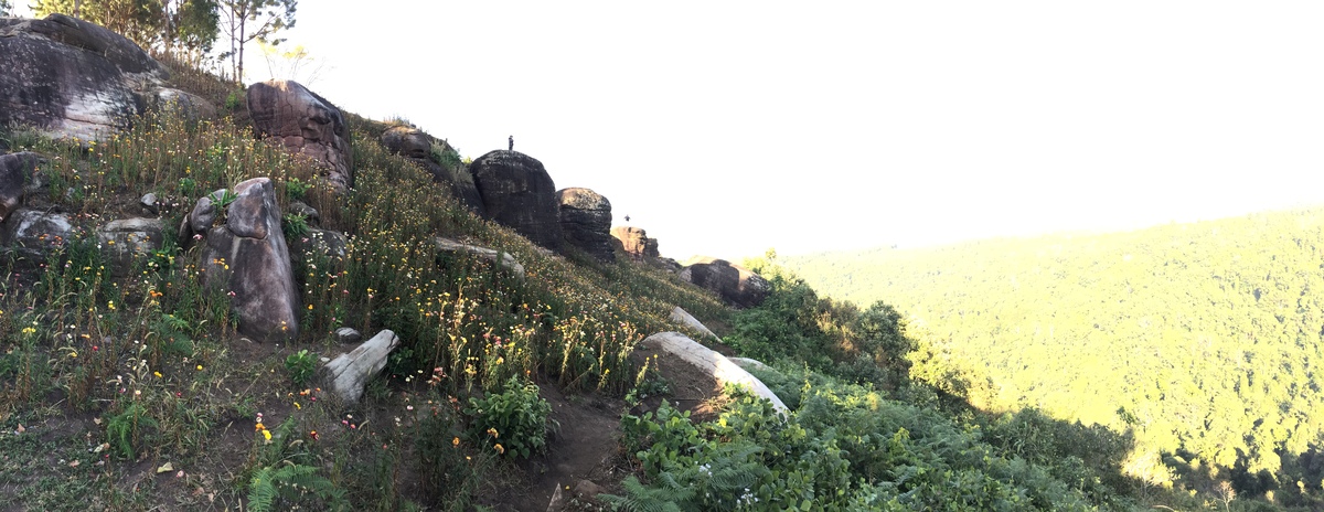 รูปถ่าย ไทย(Thailand) อุทยานแห่งชาติภูหินร่องกล้า(Phu Hin Rong Kla National Park) 2014-12 226