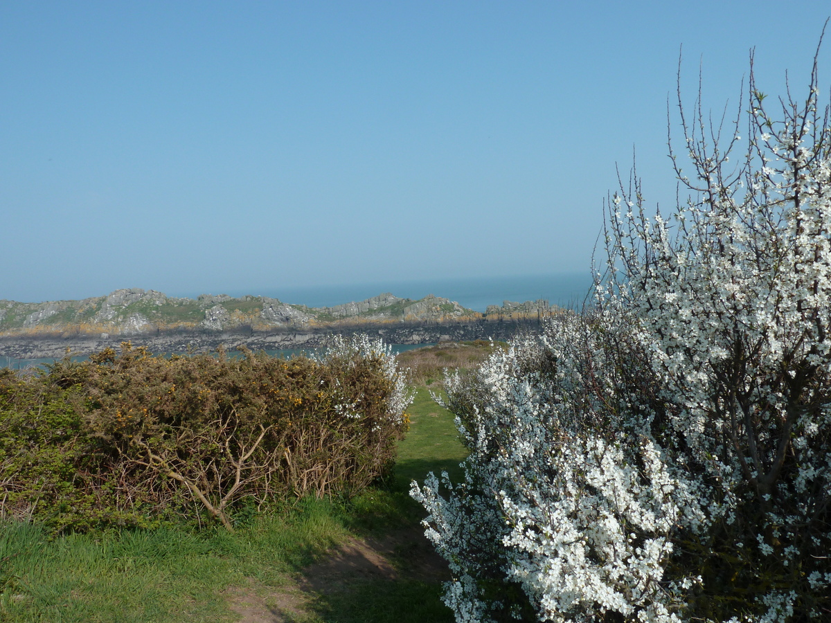 รูปถ่าย ฝรั่งเศส(France) แหลมกรูแอ็ง(Grouin Point) 2010-04 12