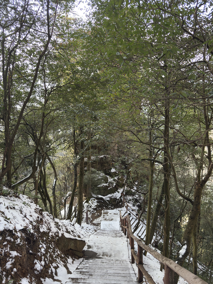 รูปถ่าย จีน(China) จางเจียเจี้ย(Zhangjiajie) ภูเขาเทียนจื่อ(Tianzi Mountain) 2026-01 105