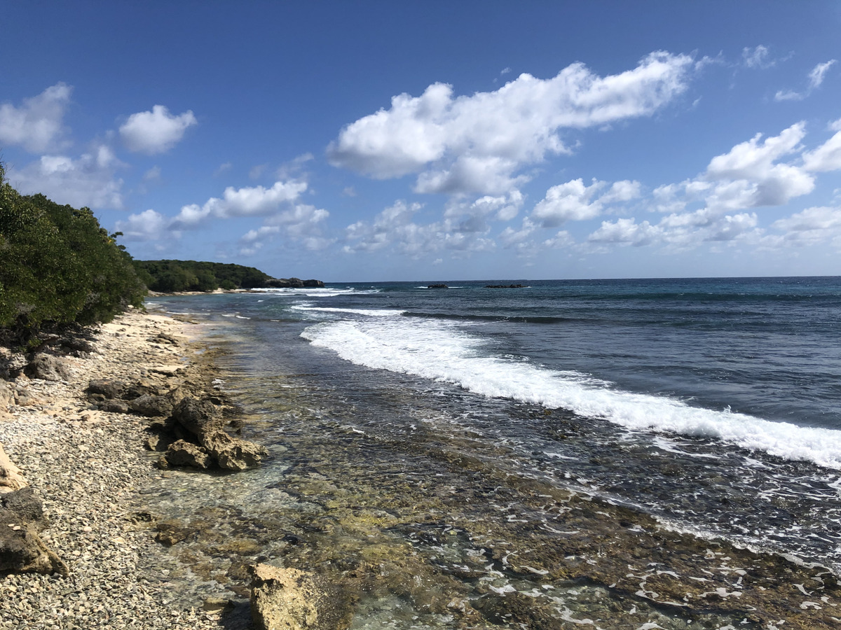 รูปถ่าย กวาเดอลูป(Guadeloupe) แซ็งฟร็องซัว(Saint Francois) 2021-02 46