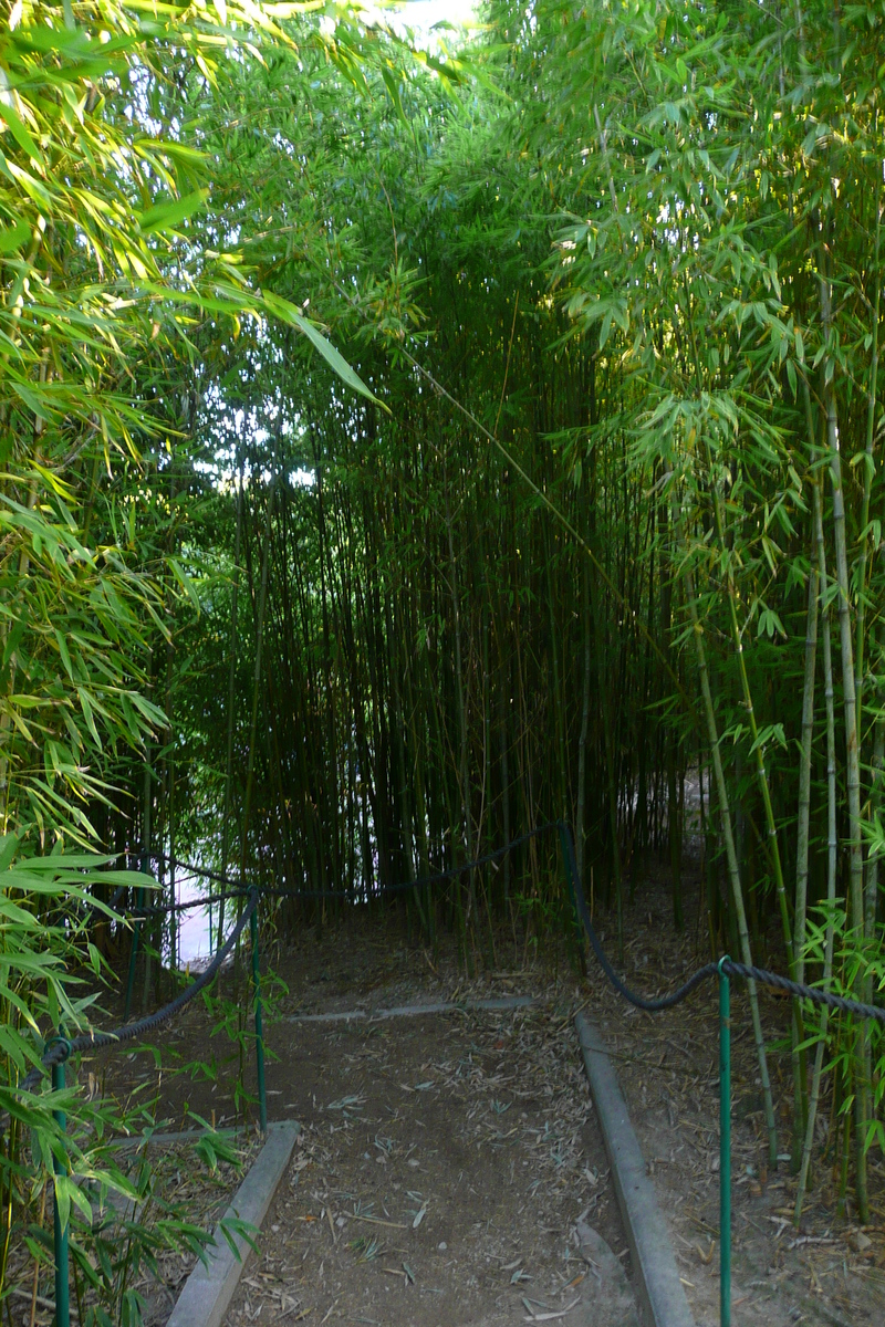 รูปถ่าย ฝรั่งเศส(France) นีส(Nice) สวนฟีนิกซ์(Phoenix Parc) 2007-10 41