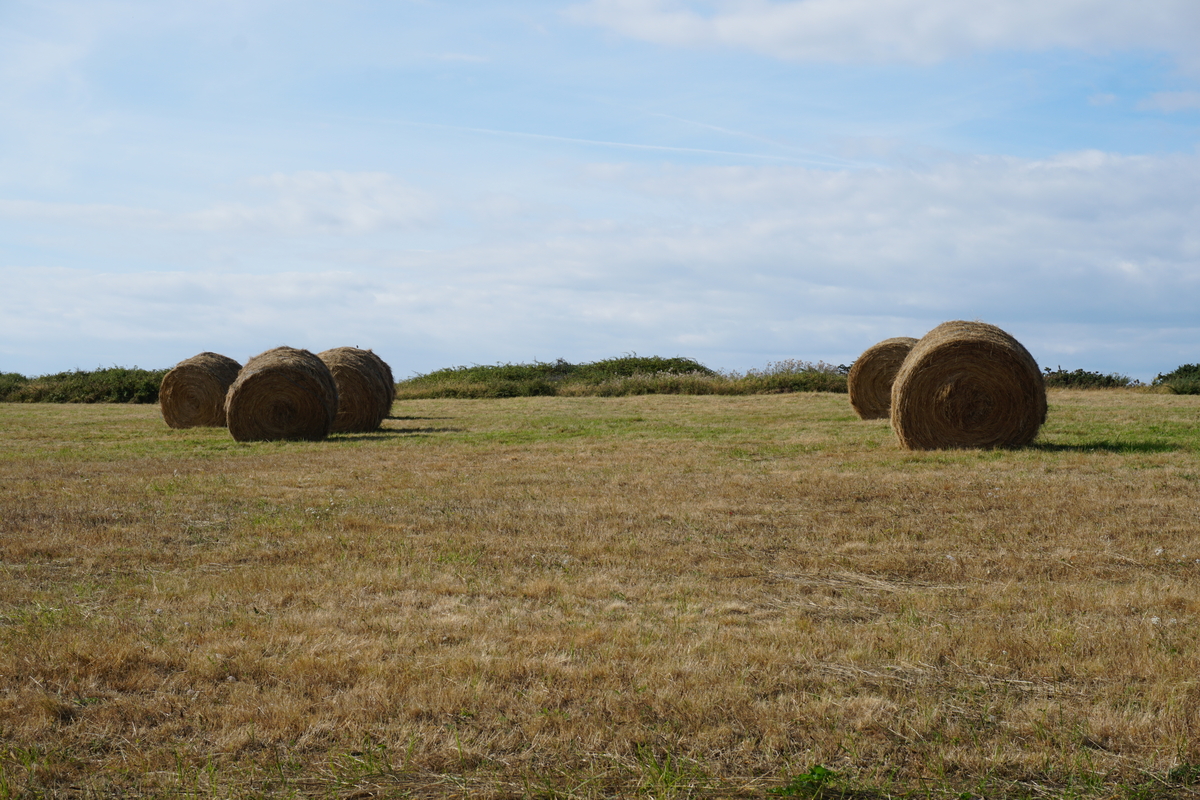 รูปถ่าย ฝรั่งเศส(France) เกาะแบล-อีล(Belle-Ile) 2016-08 219