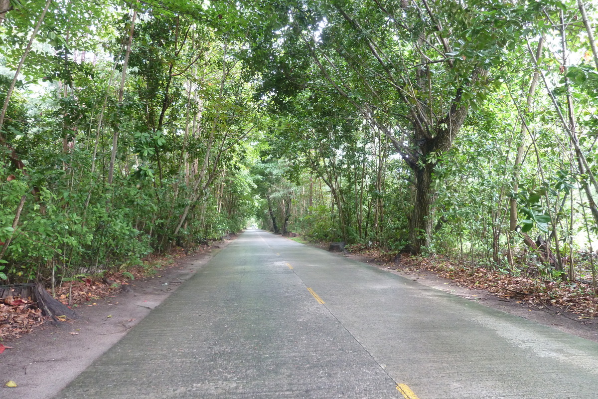 รูปถ่าย เซเชลส์(Seychelles) เกาะปราลิน(Praslin) 2011-10 75