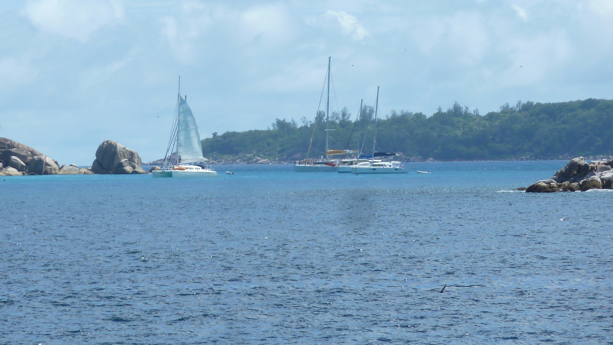 รูปถ่าย เซเชลส์(Seychelles) เกาะโกโก้(Coco Island) 2011-10 44