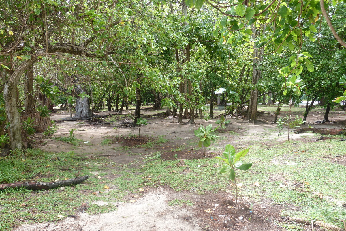 รูปถ่าย เซเชลส์(Seychelles) เกาะปราลิน(Praslin) 2011-10 137