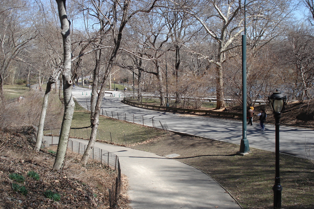 รูปถ่าย สหรัฐอเมริกา(United States) นิวยอร์ก(New York) เซ็นทรัลพาร์ก(Central Park) 2006-03 51
