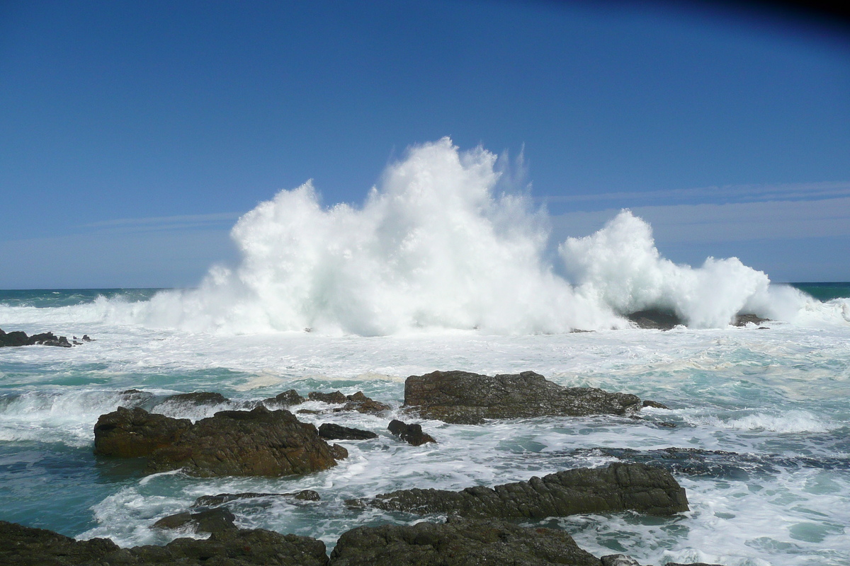 รูปถ่าย แอฟริกาใต้(South Africa) อุทยานแห่งชาติซิตซิคัมมา(Tsitsikamma National Park) 2008-09 80