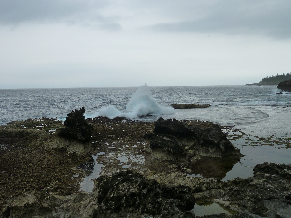 รูปถ่าย นิวแคลิโดเนีย(New Caledonia) เกาะต้นสน(Ile des pins) อ่าวโอโร(Oro Bay) 2010-05 7