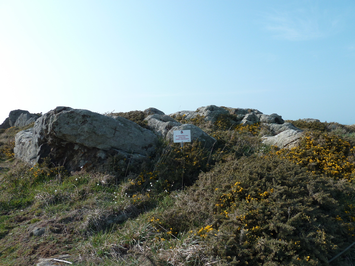 รูปถ่าย ฝรั่งเศส(France) แหลมกรูแอ็ง(Grouin Point) 2010-04 43