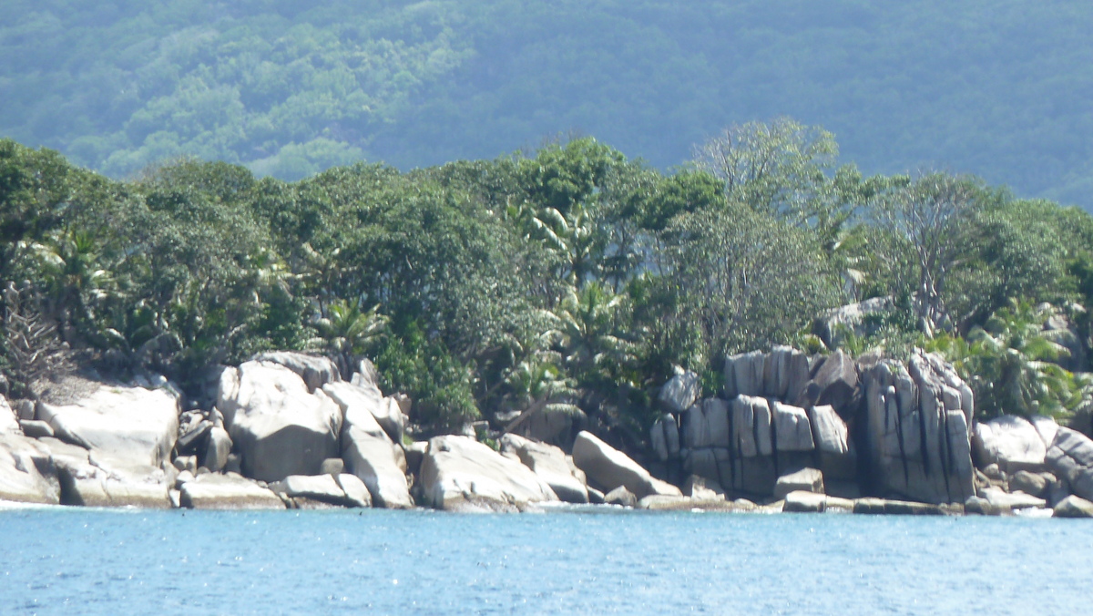 รูปถ่าย เซเชลส์(Seychelles) เกาะโกโก้(Coco Island) 2011-10 47