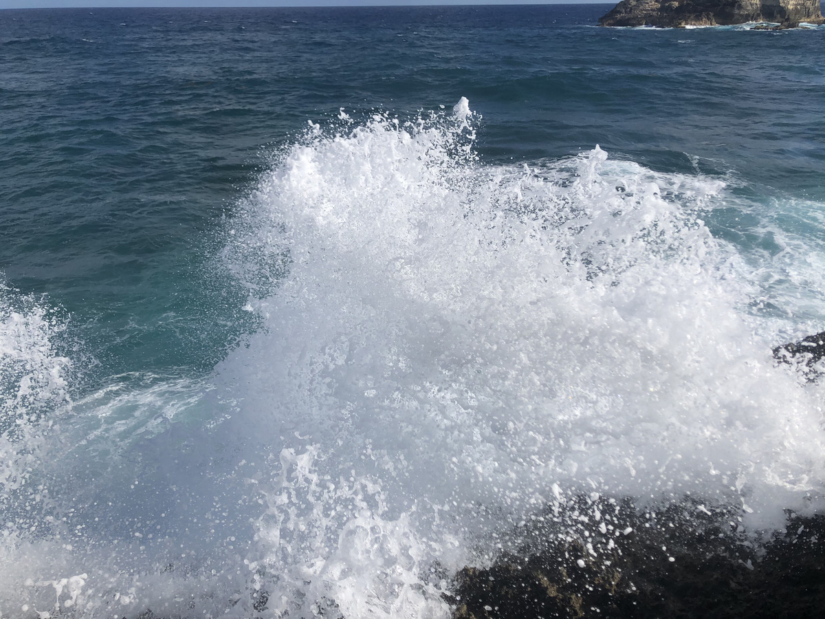 รูปถ่าย กวาเดอลูป(Guadeloupe) แหลมคาสเซิลพอยต์(Castle Point) 2021-02 38