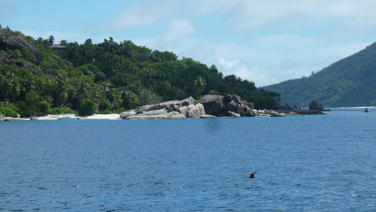 รูปถ่าย เซเชลส์(Seychelles) เฟลีซีเต(Felicitee) 2011-10 19