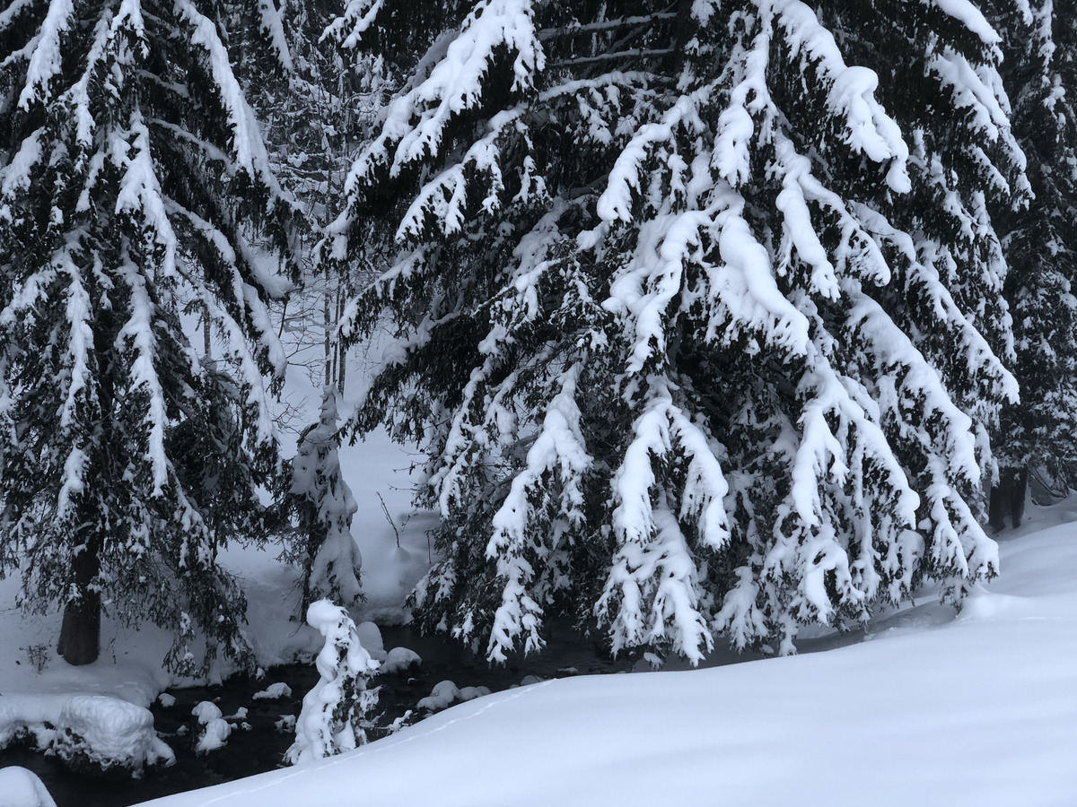 รูปถ่าย ฝรั่งเศส(France) ลากลูซา(La Clusaz) 2017-12 288